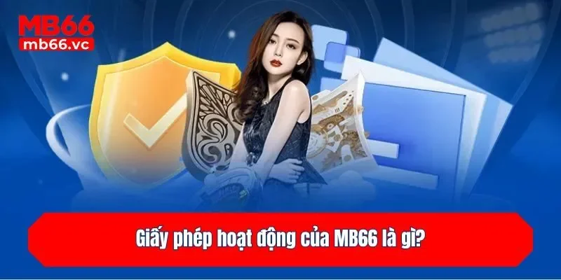 Giấy phép hoạt động của MB66 là gì?