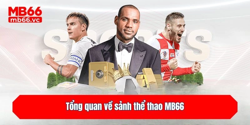 Tổng quan về sảnh thể thao MB66